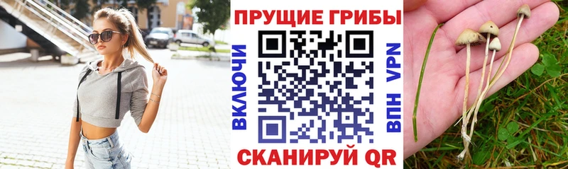 Галлюциногенные грибы мухоморы  Скопин 